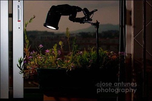 Quick-Tip-Bending-Light-Your-Own-Way