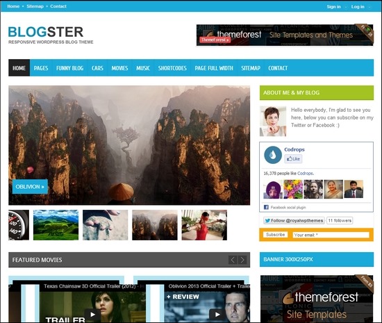 Blogster is a fully customizable theme