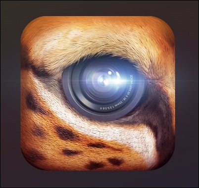 primal
