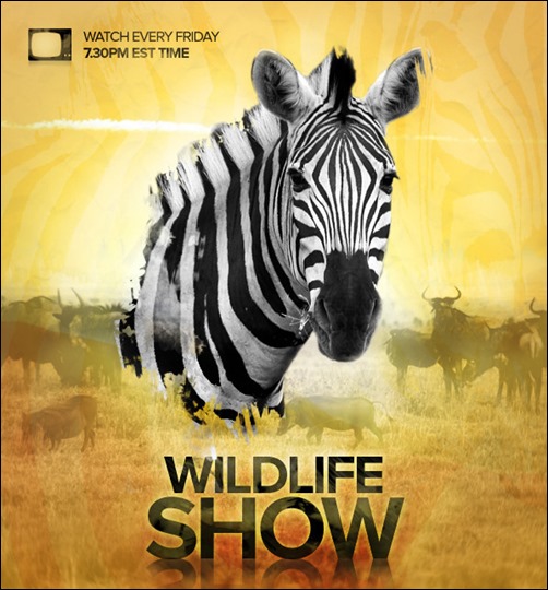Design a Professional Wildlife TV Show Poster