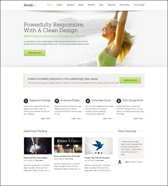 avada-responsive-multipurpose-theme