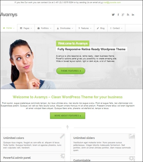 avamys-retina-ready-business-wordpress-themes