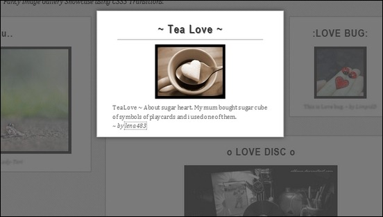 fancy-css3-transitions-image-gallery