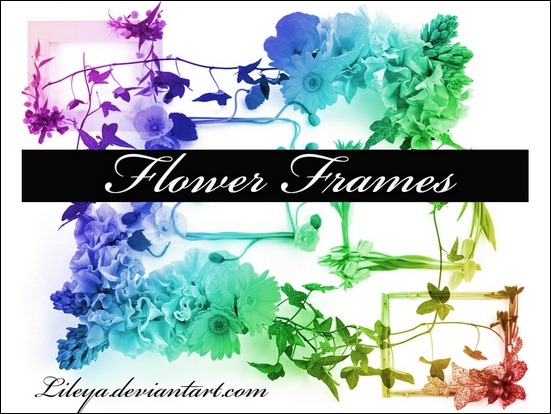 flower-frames