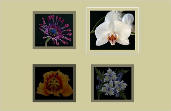 multiple-type-of-image-hover-mouse-rollover-effect-in-css3
