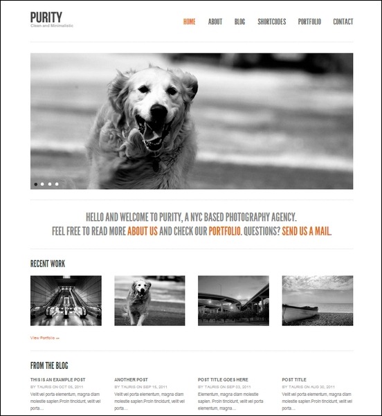 purity-clean-minimal-bold-wordpress-theme