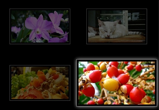 sexy-image-using-hover-effects-using-css3