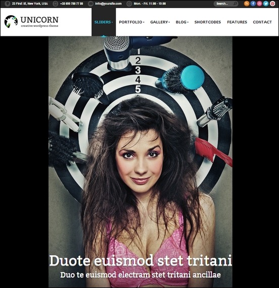 unicorn-multipurpose-retina-ready-wp-theme