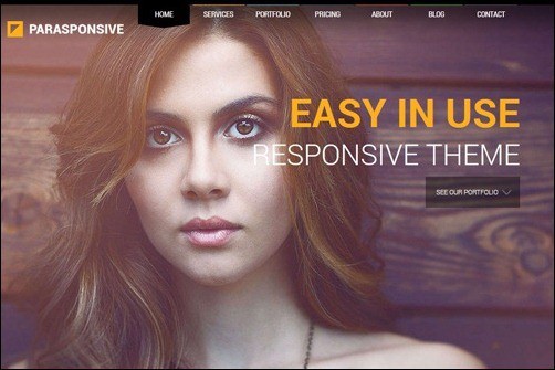 Parasponsive business website template