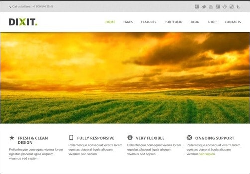 Dixit business website template