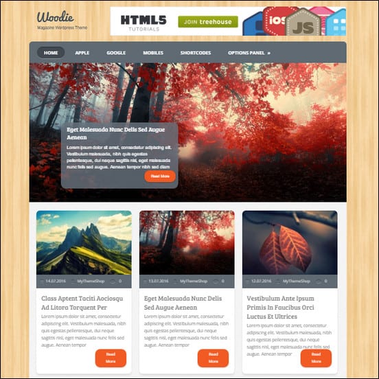 Woodie Retro WordPress Theme