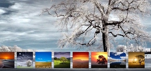 15+ Best WordPress Gallery Themes – Time To Show Off Photos?