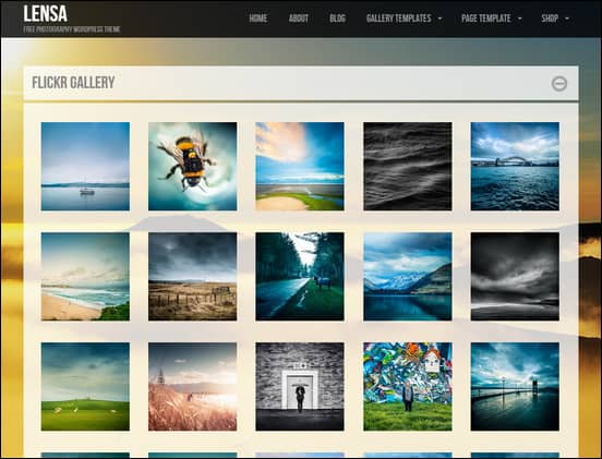 Lensa is a cool WordPress gallery theme with many gallery layout options.