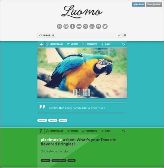 luomo-a-responsive-expressive-tumblr-theme