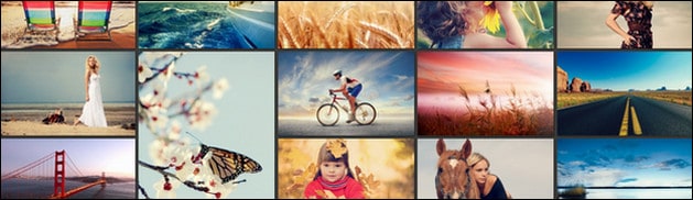 50+ Awesome WordPress Masonry Theme Collection
