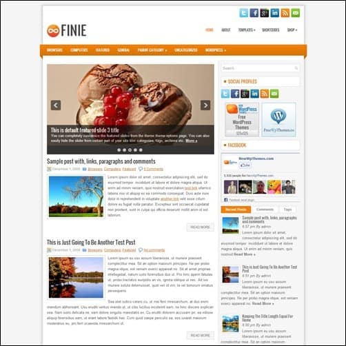 finie free wordpress theme