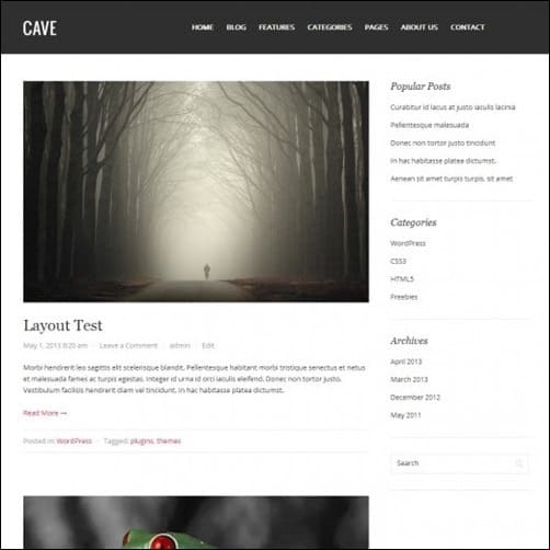 cave free wordpress theme
