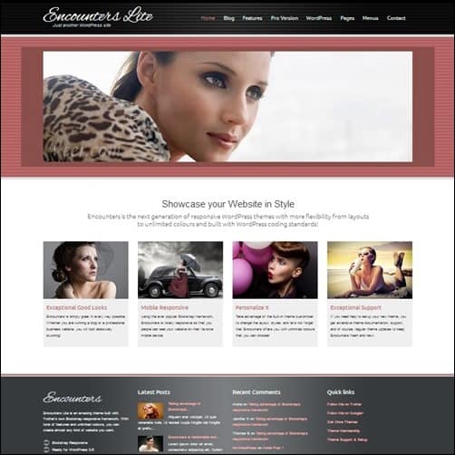 encounters-lite free wordpress theme