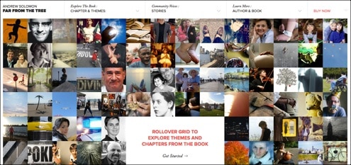75+ Examples of Grid-Based Website Designs