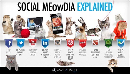 so9cial-meowdia-explained