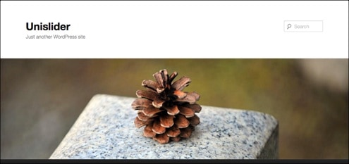 20+ Great WordPress Slideshow Plugins