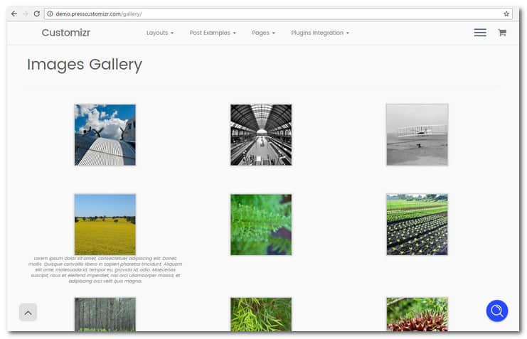 customizr image gallery