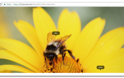 10+ jQuery Image Zoom Effect Plugins
