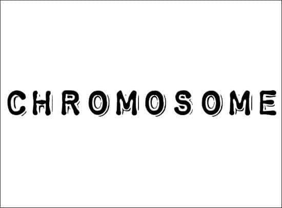 Chromosome