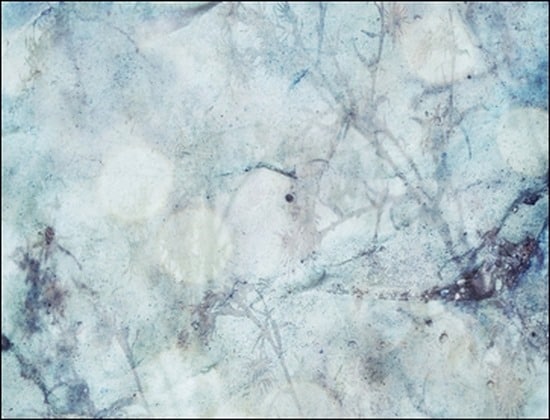 IceAndSnowTexture2