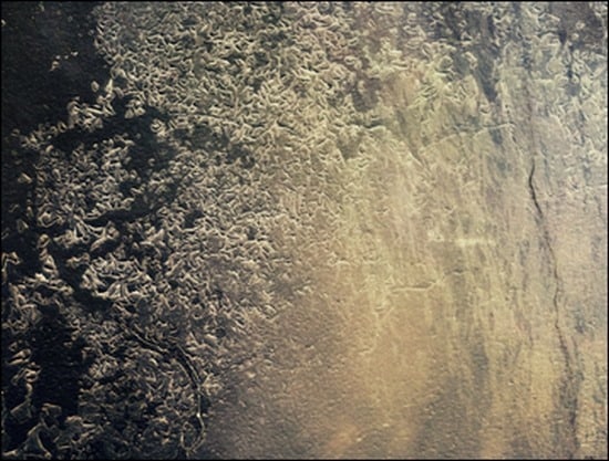 Texture310