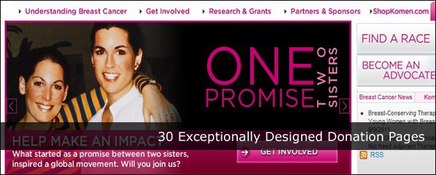 30 Exceptionally Designed Donation Pages