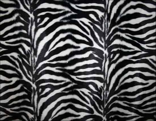 30+ Zebra Print Texture for Free Download