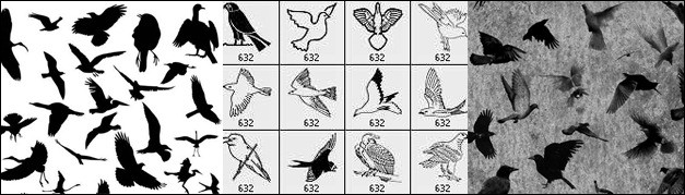 30 Cool Bird Brush Sets for Photoshop