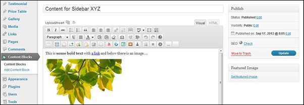 How to Get a Visual Editor for Your Widget Content