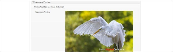 How To Watermark Photos In WordPress