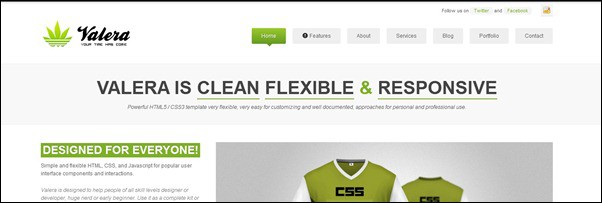 40+ Great Responsive HTML Website Templates