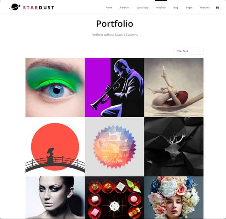 stardust-multipurpose-portfolio-wordpress-theme