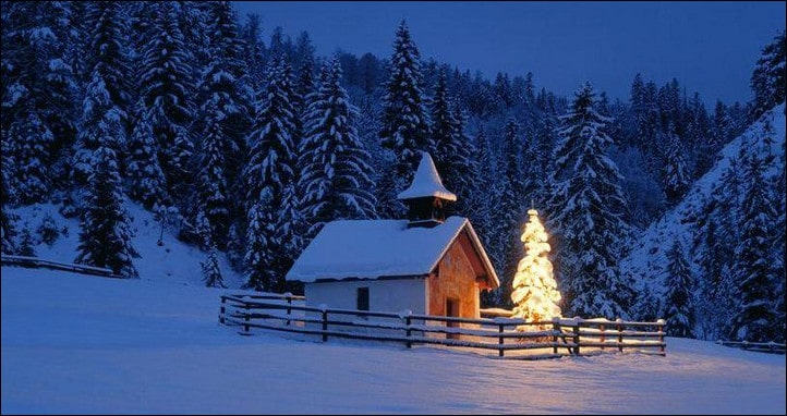 24 Stunning Christmas Tree Images