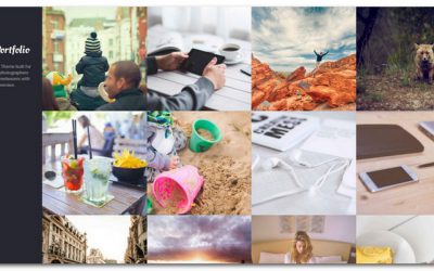 20+ Best WordPress Portfolio Themes For Increased Exposure