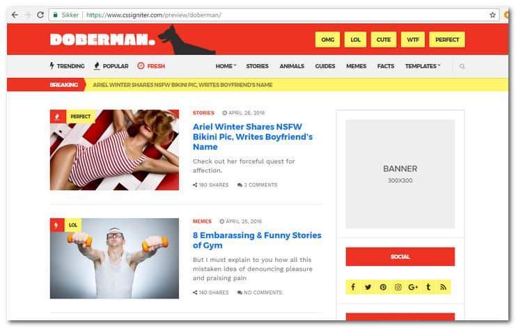 Doberman WordPress theme
