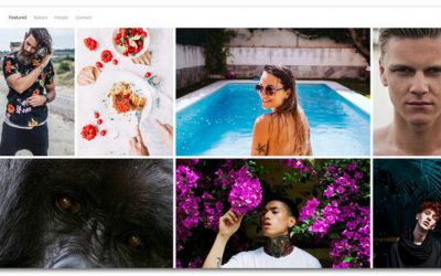 15+ Photo WordPress Themes For Showcasing Your Best Work in 2017